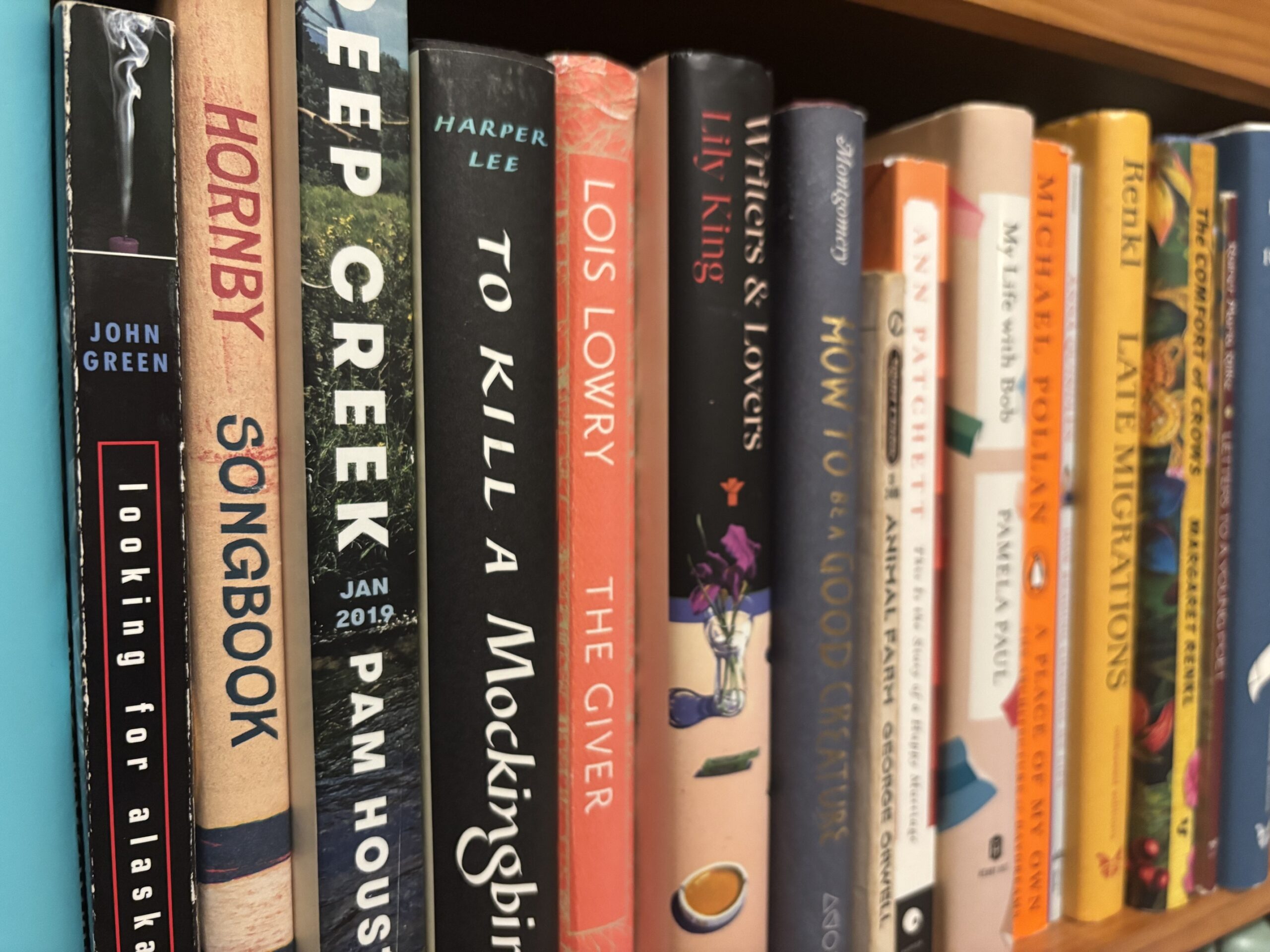 A collection of books on a light-colored wood bookcase